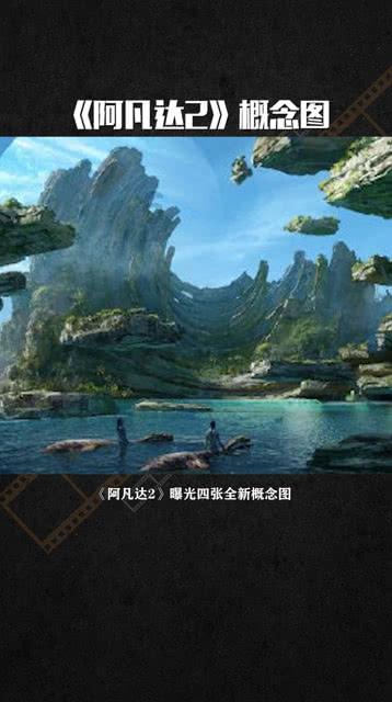健美大赛