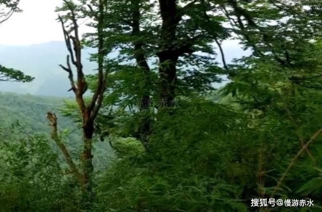 装甲火力之战舰世界