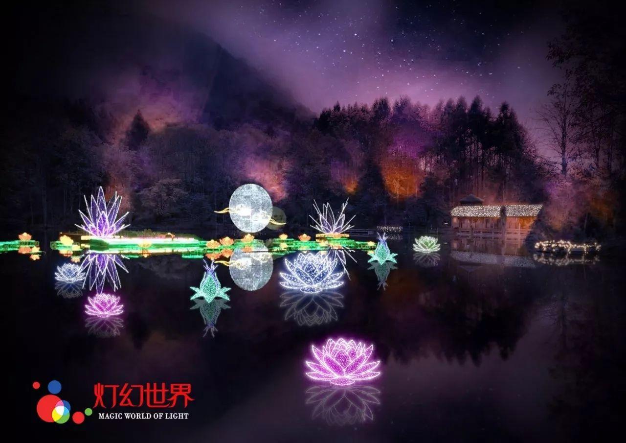 五彩鹦鹉救援